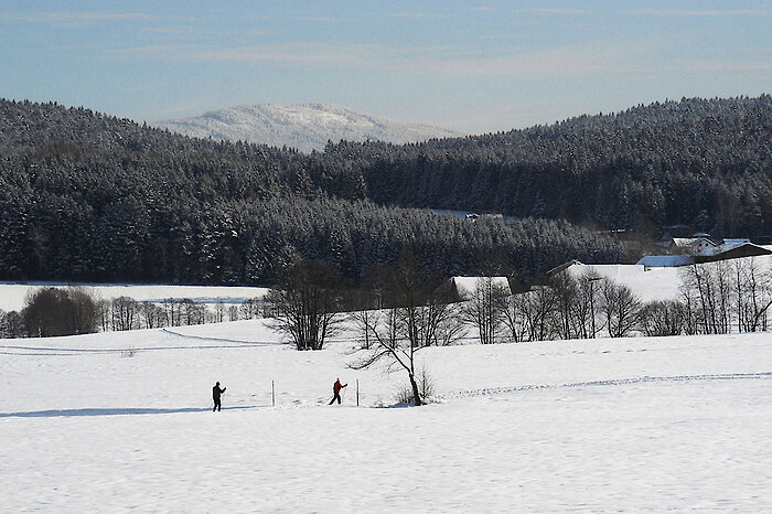 Langlaufen Langlauf im Bayerischen Wald